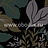 Обои Nina Campbell Perroquet NCW3835-05
