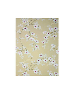 Обои Nina Campbell Montacute NCW4065-05