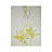 Обои Nina Campbell Montacute NCW4067-03