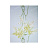 Обои Nina Campbell Montacute NCW4067-04