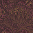 Обои Morris & Co Archive Wallpapers 210355