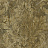 Обои Fresco Lustrous JH31609