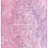 Обои Blue Mountain Paper Effects BC1580480