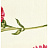 Обои York Antonina Vella - Botanica VB6870