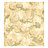 Обои York Candice Olson - Kids CK7804