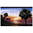 Панно и фотообои York Mural Portfolio RA0131M