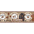 Бордюр York Border Portfolio BG1618BD