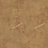 Обои York West Wind Design WW4478
