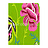 Обои Designers Guild Cloisonne P450/02