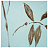 Обои Designers Guild Oriental Garden P459/03