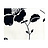 Обои Designers Guild Cloisonne P431/06