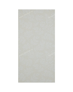 Обои Sanderson Caverley DCAVCO104