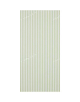 Обои Sanderson Caverley DCAVTP103