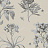 Обои Sanderson Classic Collection II DCLAEC106