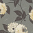 Обои Sanderson Classic Collection II DCLAPM105