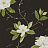 Обои Sanderson Classic Collection II DCLASE103