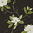 Обои Sanderson Classic Collection II DCLASE103