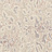 Обои Sangiorgio Palace M7383/80587