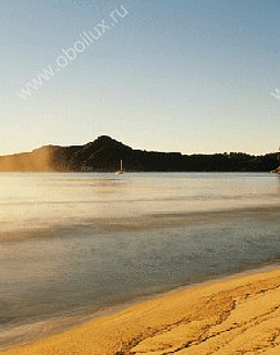 Обои Atlas Wallcoverings Raphael 1 1051