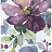 Обои Wallquest Villa Flora VB10009