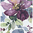 Обои Wallquest Villa Flora VB10009