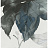 Обои Wallquest Villa Flora VB10302