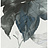 Обои Wallquest Villa Flora VB10302