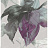 Обои Wallquest Villa Flora VB10309