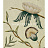 Обои Lewis & Wood Wide Width Wallpapers LW13193/Adams Eden Verdure