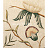 Обои Lewis & Wood Wide Width Wallpapers LW13167/Adams Eden Taupe