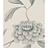 Обои Lewis & Wood Wide Width Wallpapers LW13312/Jasper Peony Aqua