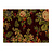 Обои Ralph Lauren Volume XIV LWP60723W