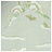 Обои GP & J Baker Emperor`s Garden BW45001-6