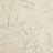 Обои Clarke & Clarke Clarisse W0030-02