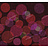 Обои Wall & Deco 2012 WDBU1202