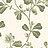 Обои Little Greene London Wallpapers IV 0277BRGARDE