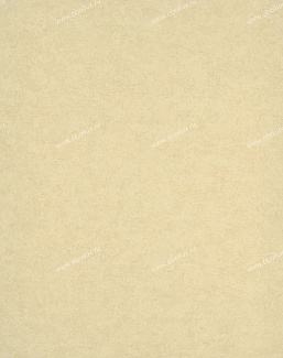 Обои Little Greene London Wallpapers II 0273CPPALES