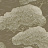 Обои Little Greene Oriental Wallpapers 0275PIGOLDE