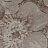 Обои Prospero Orchidea 2-ORD-A