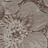 Обои Prospero Orchidea 2-ORD-A