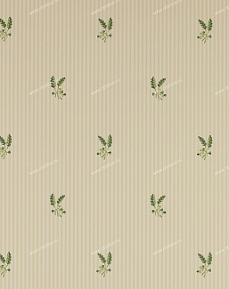 Обои Colefax and Fowler Ashbury 07926-02