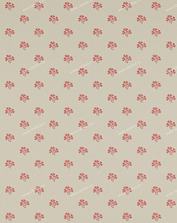 Обои Colefax and Fowler Ashbury 07983-01