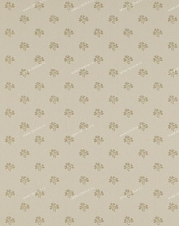 Обои Colefax and Fowler Ashbury 07983-02