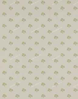 Обои Colefax and Fowler Ashbury 07983-04