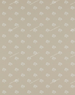 Обои Colefax and Fowler Ashbury 07983-05