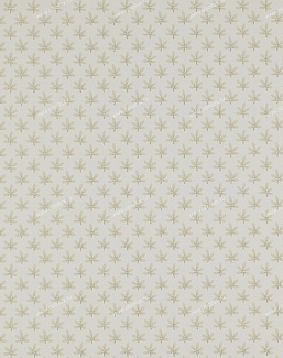 Обои Colefax and Fowler Ashbury 07984-04