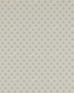 Обои Colefax and Fowler Ashbury 07984-05