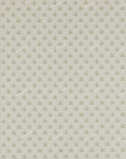 Обои Colefax and Fowler Ashbury 07984-06