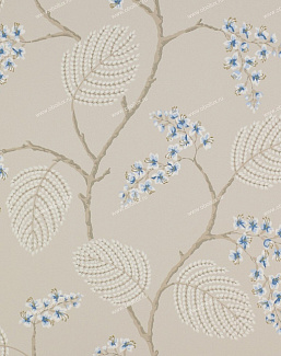 Обои Colefax and Fowler Celestine 07141-06
