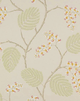 Обои Colefax and Fowler Jardine Florals 07141/05